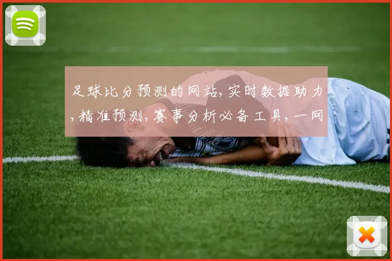 足球比分预测的网站,实时数据助力,精准预测,赛事分析必备工具,一网打尽