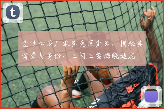 金沙回沙厂家究竟国企否，揭秘其背景与身份，三问三答揭晓谜底