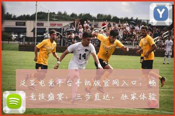 泛亚电竞平台手机版官网入口，畅享竞技盛宴，三步直达，独家体验，一触即达