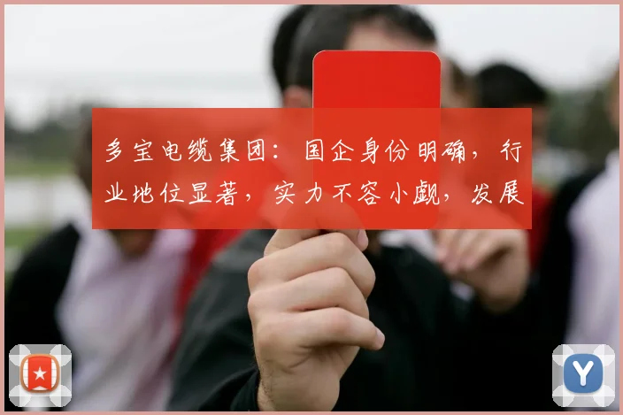多宝电缆集团：国企身份明确，行业地位显著，实力不容小觑，发展前景广阔，值得信赖。