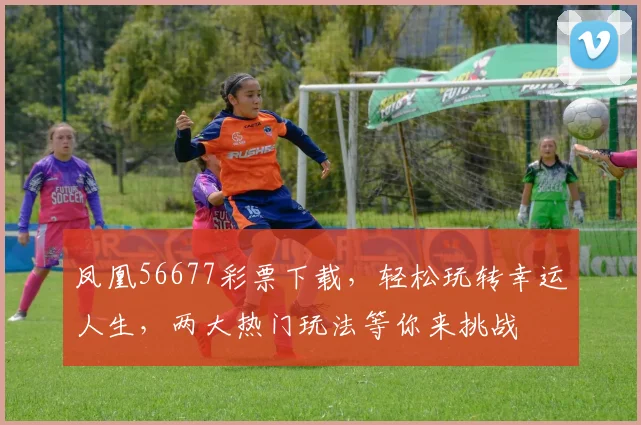 凤凰56677彩票下载，轻松玩转幸运人生，两大热门玩法等你来挑战